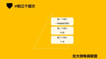 北大微电商联盟 移动互联网时代的企业IP与品牌营销新路径